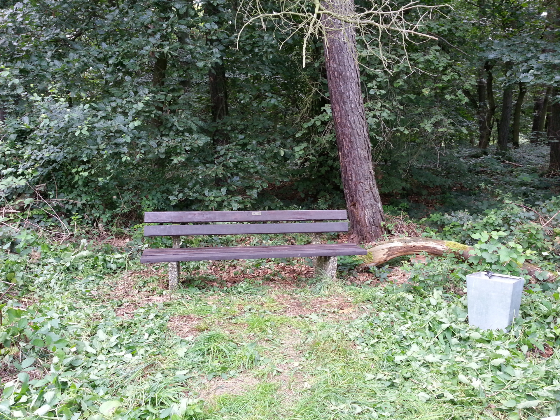 Bild: fuchskaule