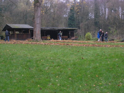 Vorschaubild der Galerie