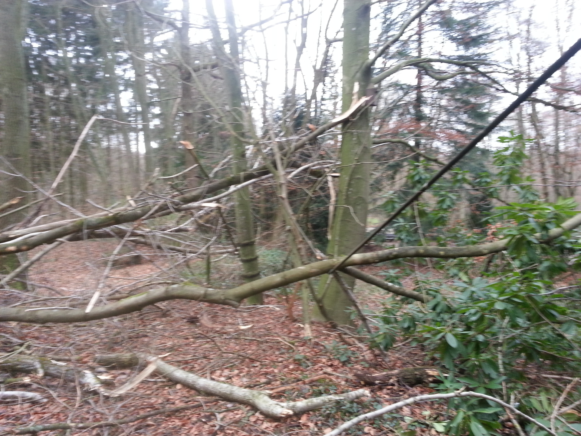 Bild: sturm12