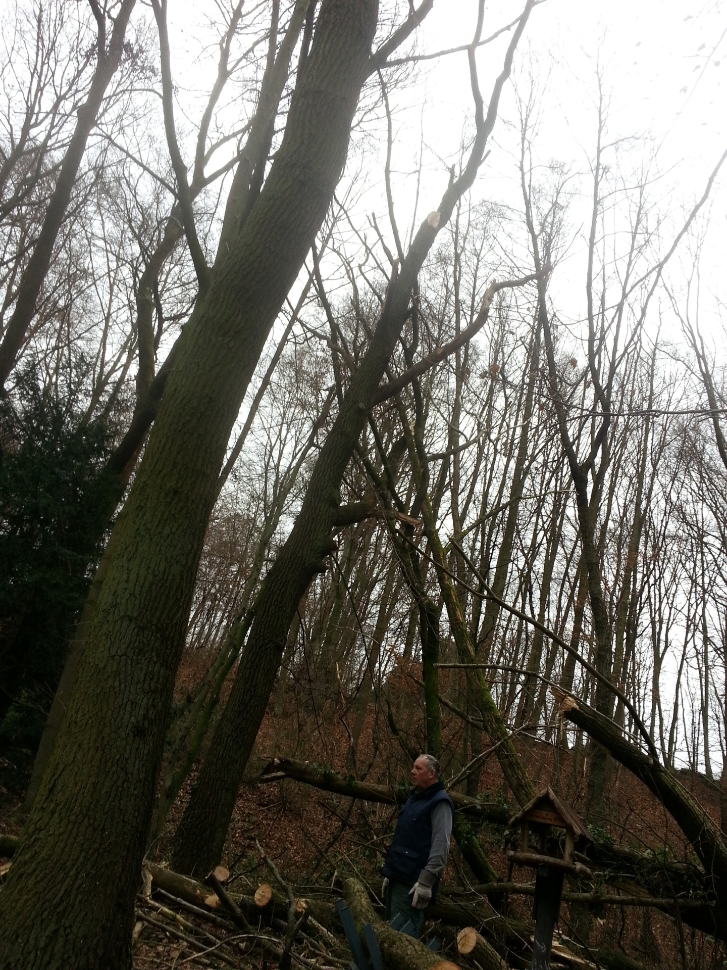 Bild: sturm17