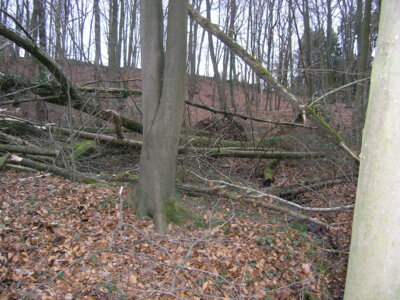 Vorschaubild: sturm15