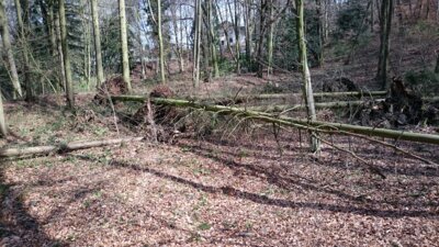 Vorschaubild: sturm2 1