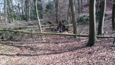 Vorschaubild: sturm2 2