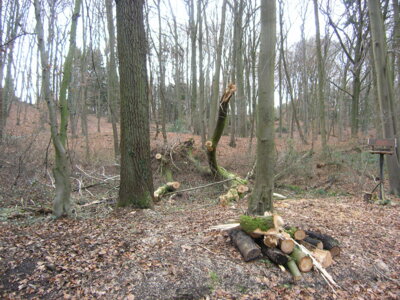 Vorschaubild: sturm5