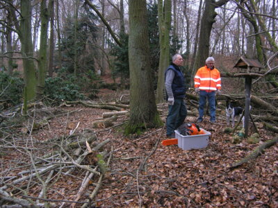 Vorschaubild: sturm9