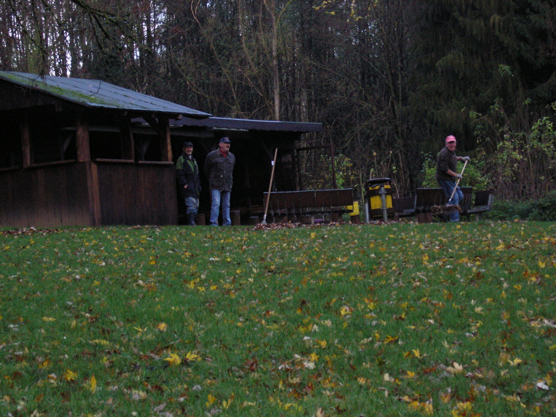 Bild der Galerie