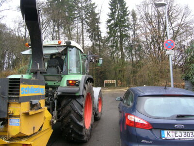 Vorschaubild: 2017baumfaellen2