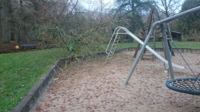 Vorschaubild: erle2