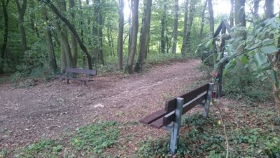 Vorschaubild: obere Görreshöhle3