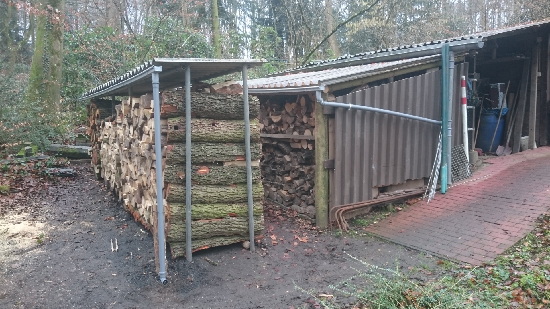 Bild: neue Holzlagerstelle