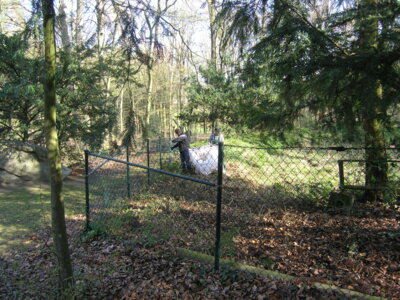 Vorschaubild der Galerie