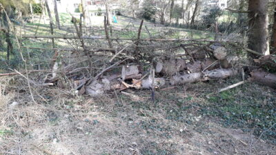 Vorschaubild: Naturzaun