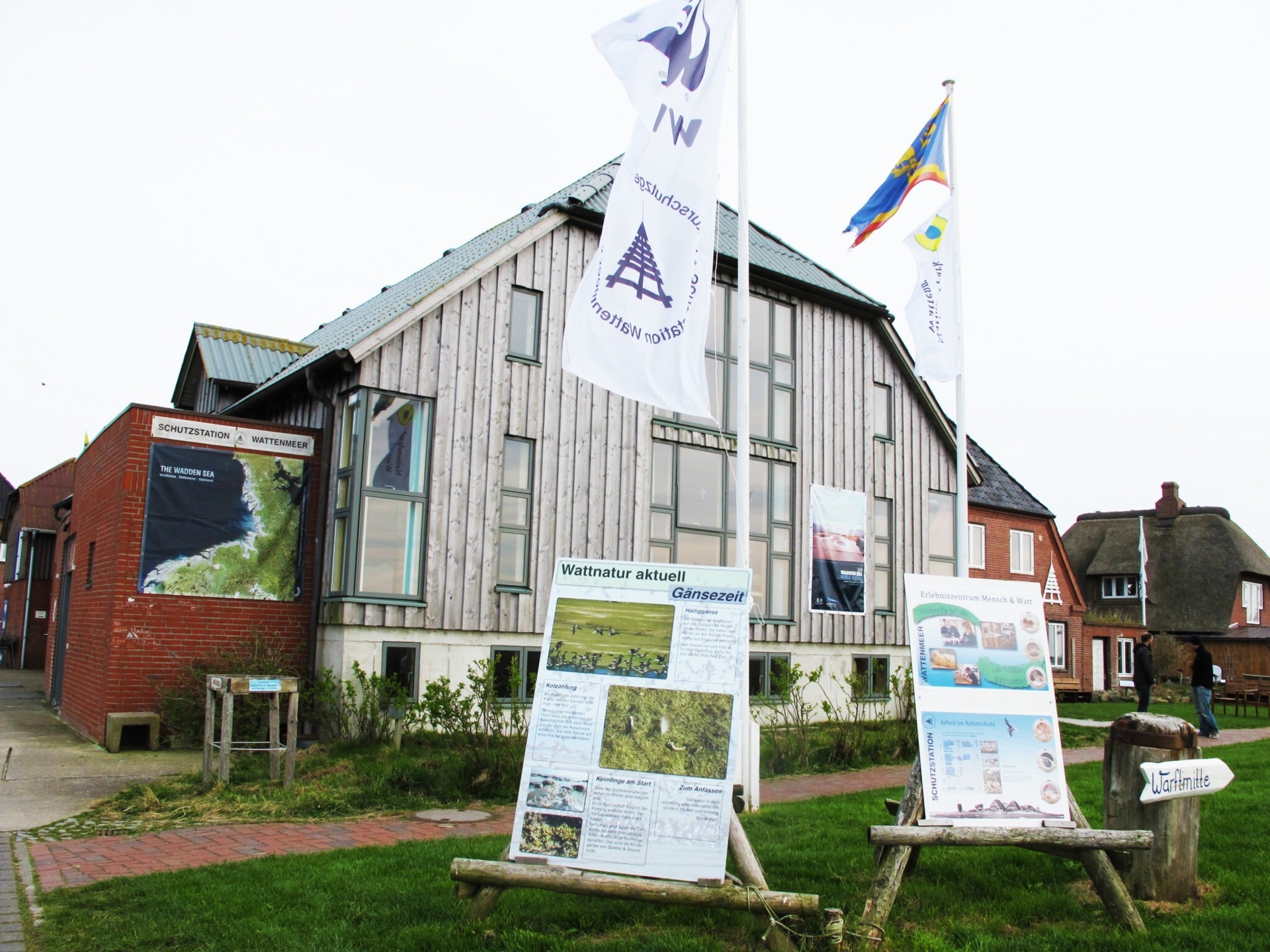 Bild der Galerie