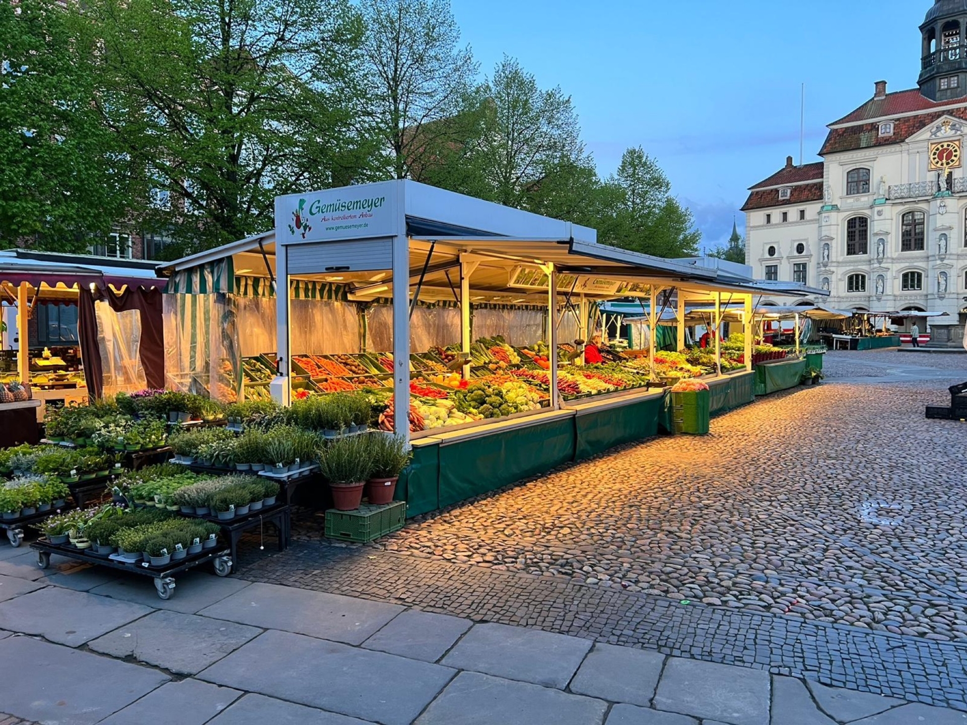 Bild der Galerie