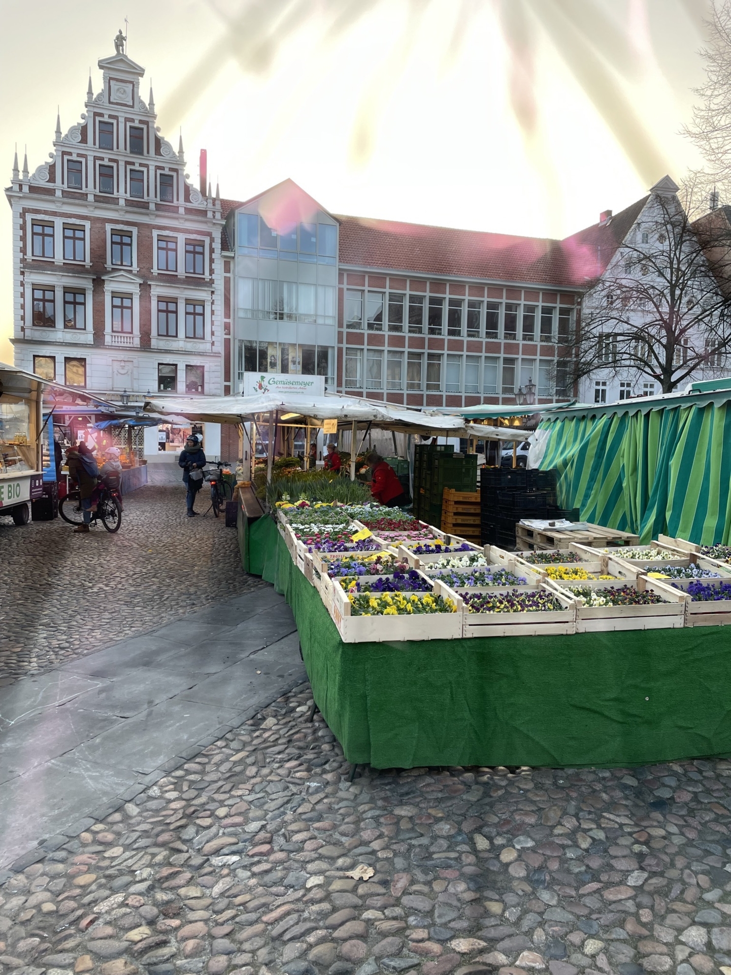 Bild der Galerie