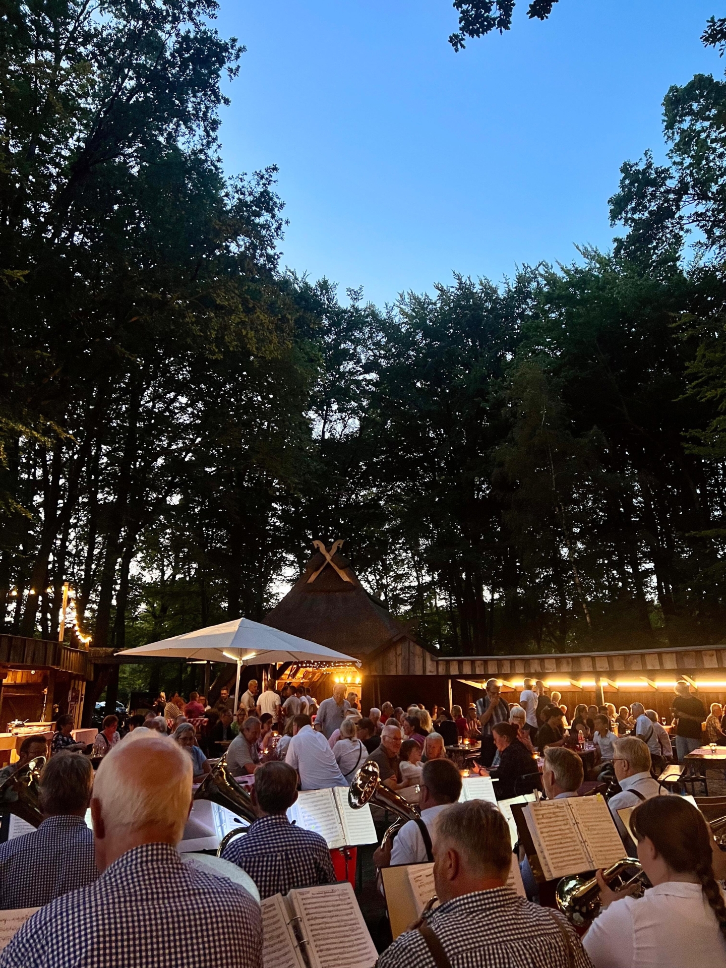 Foto der Galerie: Das Heideblütenfest 2024