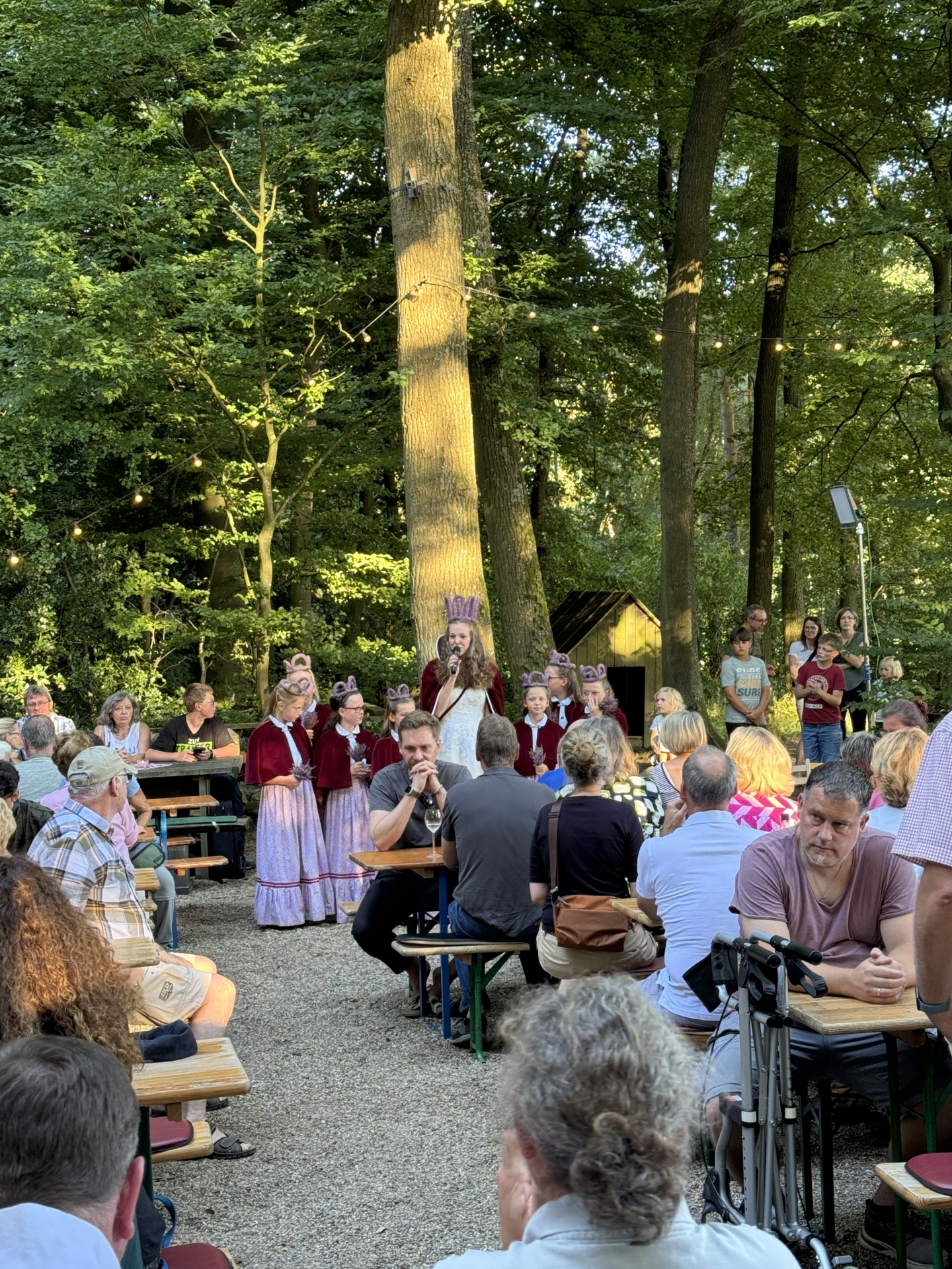 Foto der Galerie: Das Heideblütenfest 2024