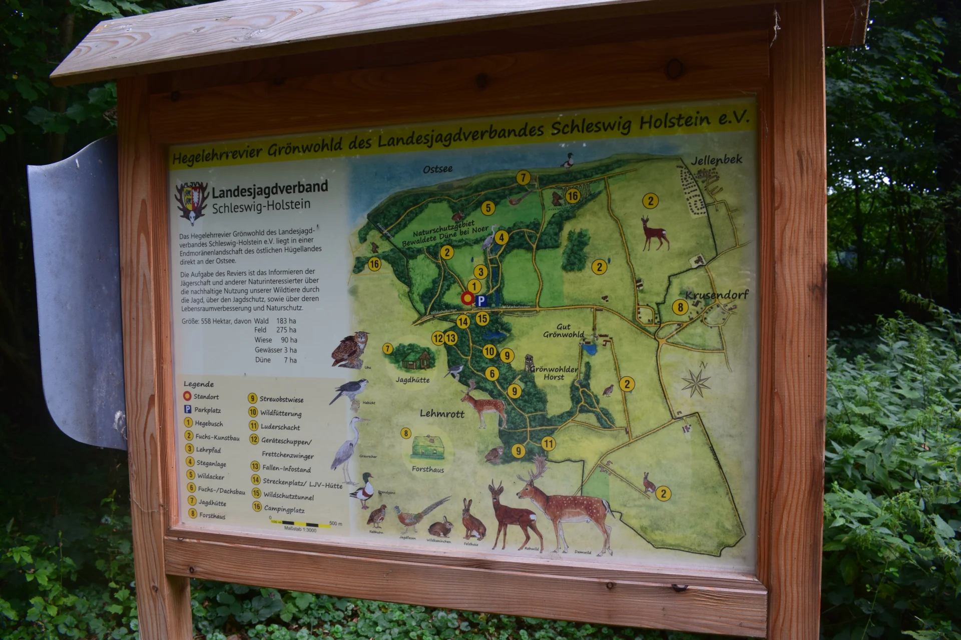 beindruckende Gr&ouml;&szlig;e des LehrreviersDSC 0564  (Bild vergr&ouml;&szlig;ern)