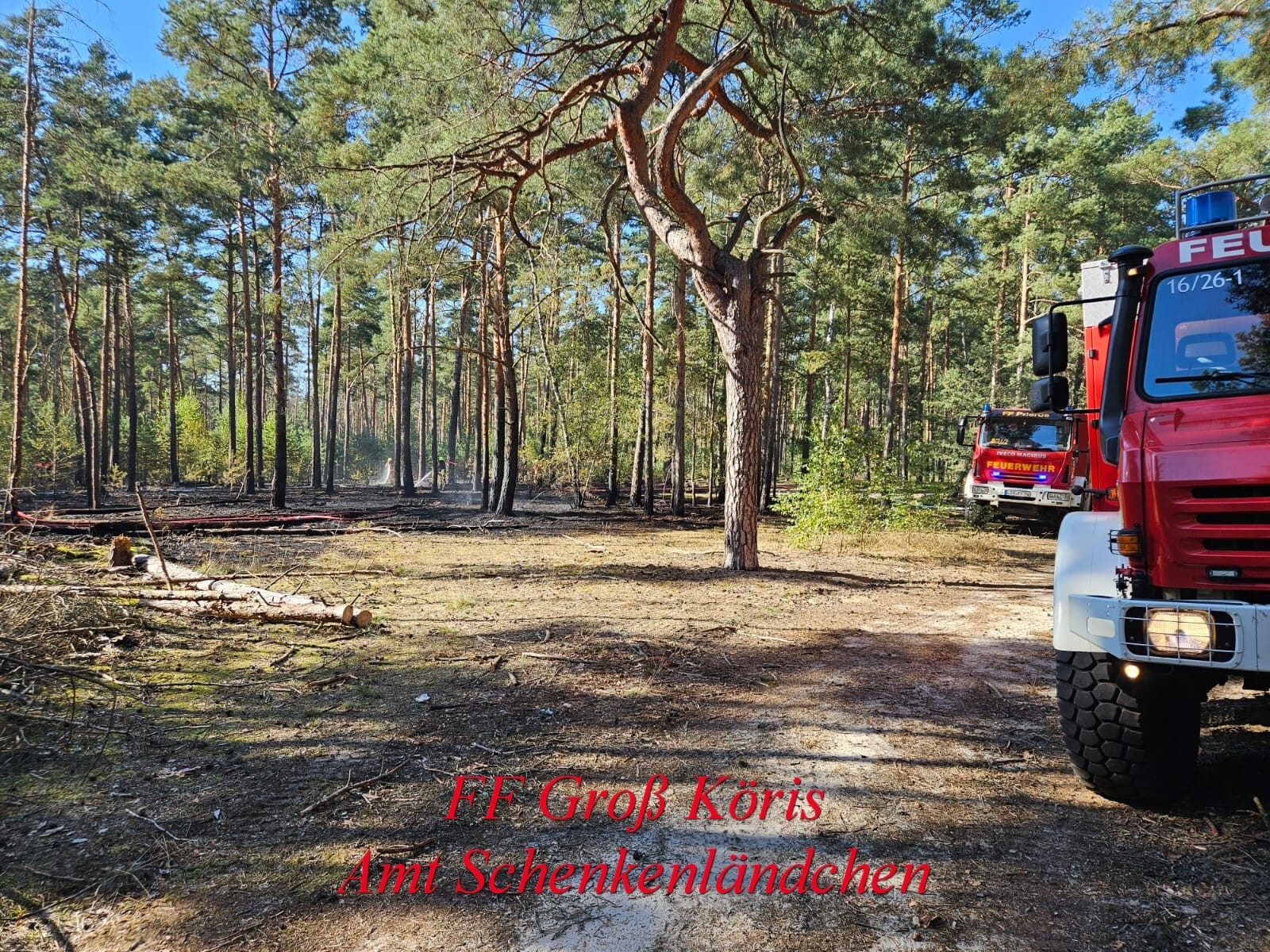 Foto der Galerie: Einsatz Nr. 65/2024 B:Wald-Groß/WSP