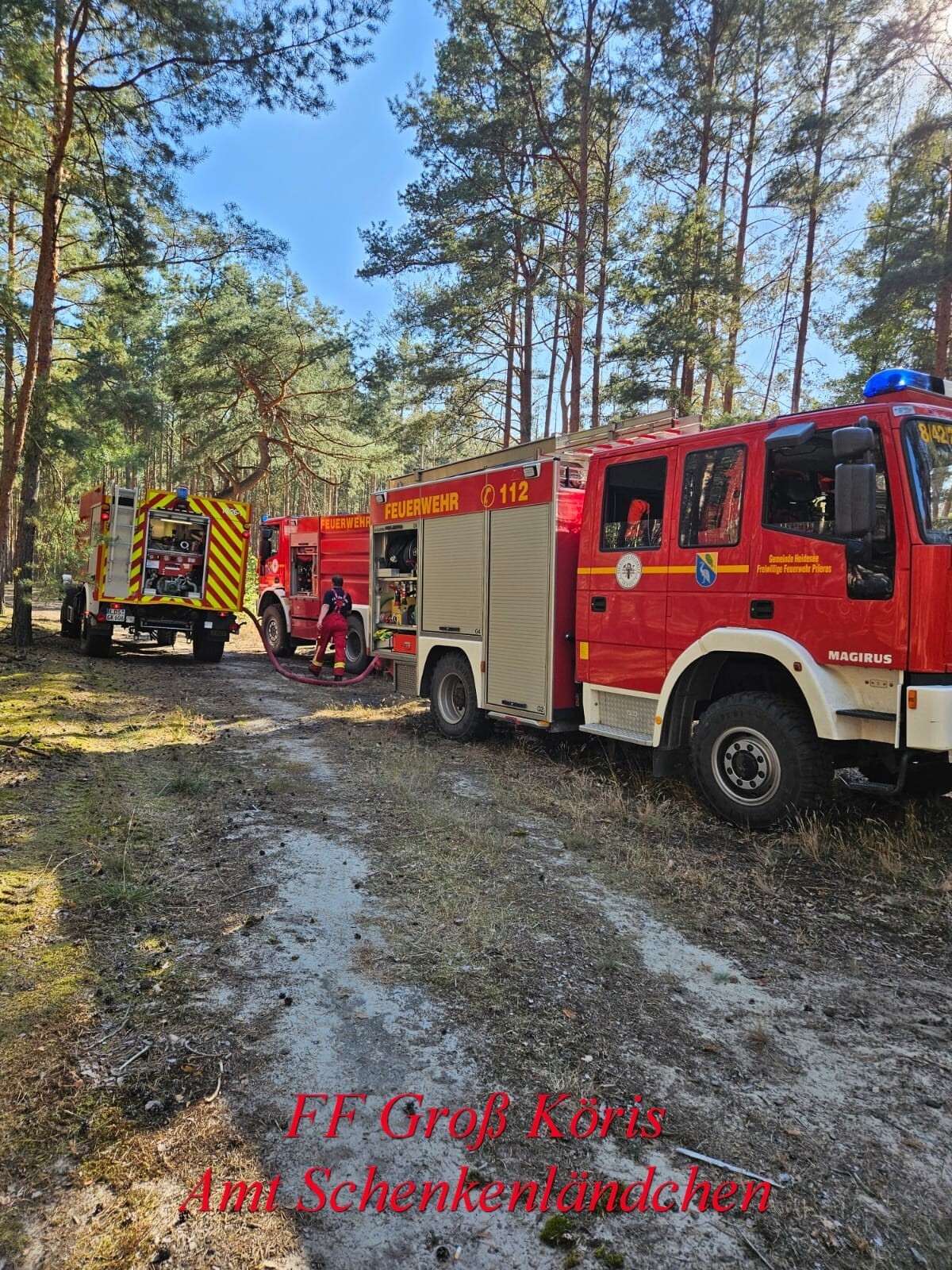 Foto der Galerie: Einsatz Nr. 65/2024 B:Wald-Groß/WSP