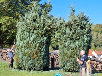 Vorschaubild: Freiwilligentag in Sontra-Weißenborn