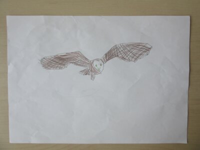 Vorschaubild: Frieda S. (7 Jahre)