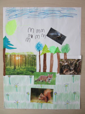 Vorschaubild: Luise H. (7 Jahre)
