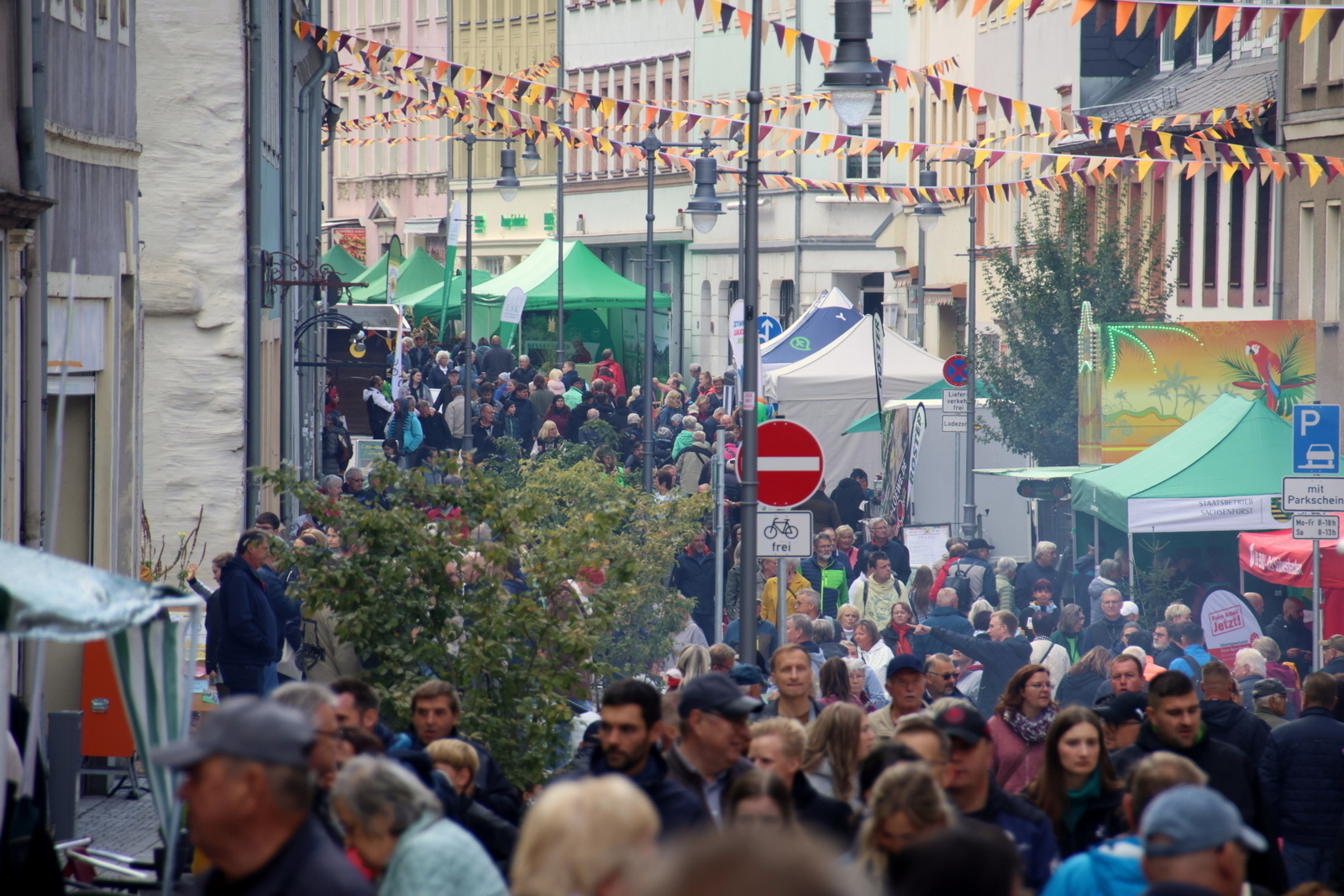 Peter-Sekyra-Rochlitzer Stra&szlig;e 4  (Bild vergr&ouml;&szlig;ern)