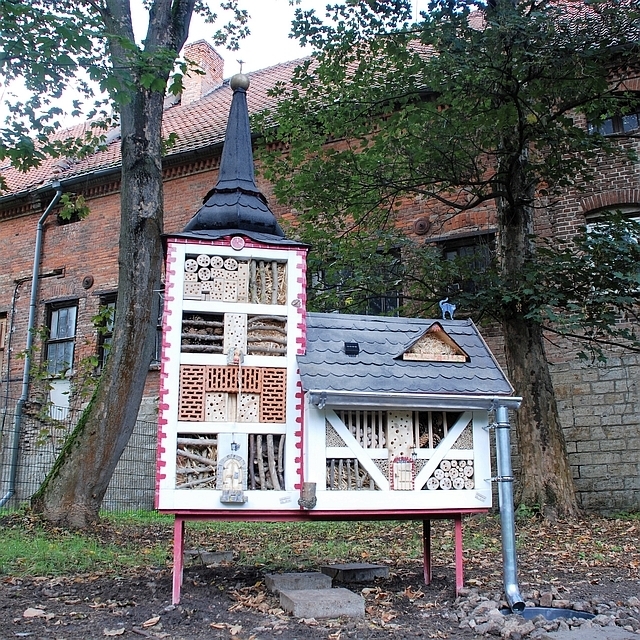 Eckstedt Insektenhotel im Park  (Bild vergr&ouml;&szlig;ern)