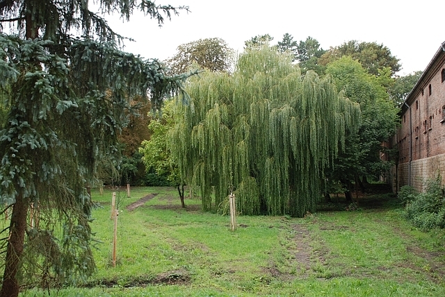 Eckstedt Schlosspark2  (Bild vergr&ouml;&szlig;ern)