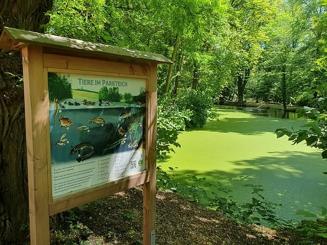 Eckstedt Schlossparkteich1  (Bild vergr&ouml;&szlig;ern)