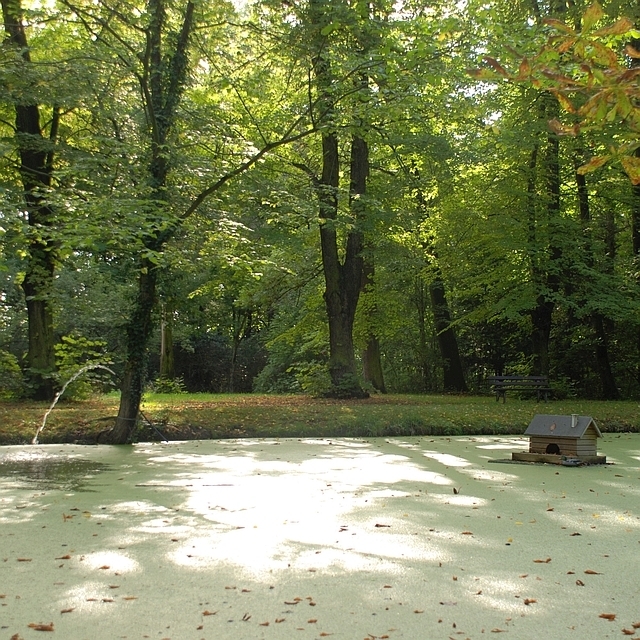 Eckstedt Schlossparkteich2  (Bild vergr&ouml;&szlig;ern)