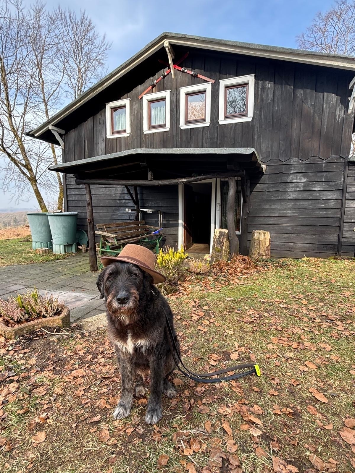 Die Herdecker H&uuml;tte im Februar  (Bild vergr&ouml;&szlig;ern)
