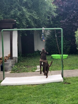 Vorschaubild der Galerie