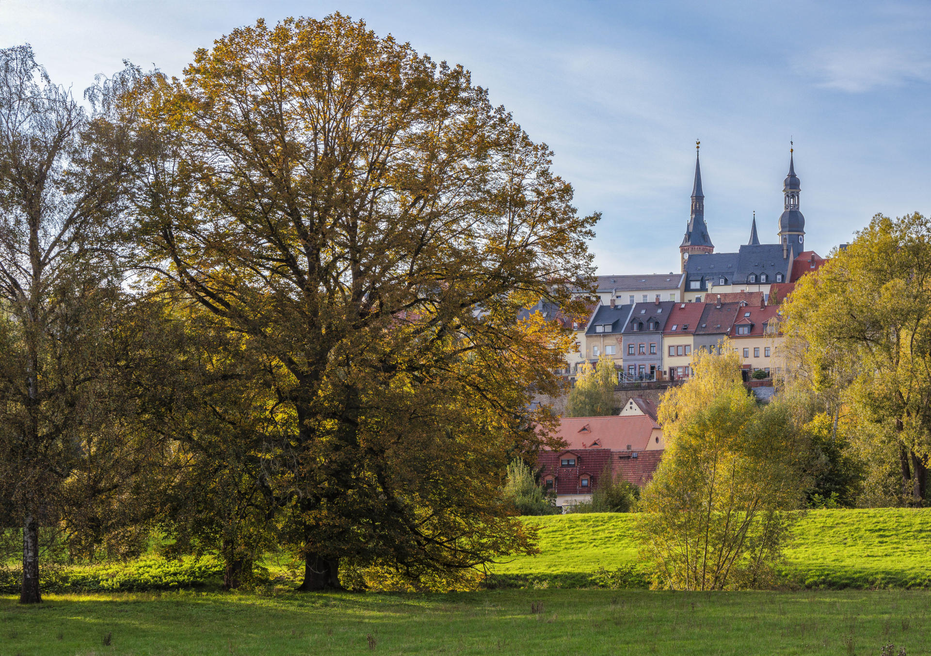 Eberhard Koehler-Waldenburg  (Bild vergr&ouml;&szlig;ern)