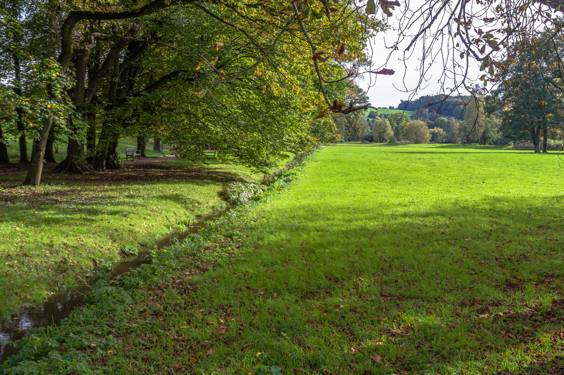 Uwe Lutz Gruenfelder Park Blick aus dem Park  (Bild vergr&ouml;&szlig;ern)