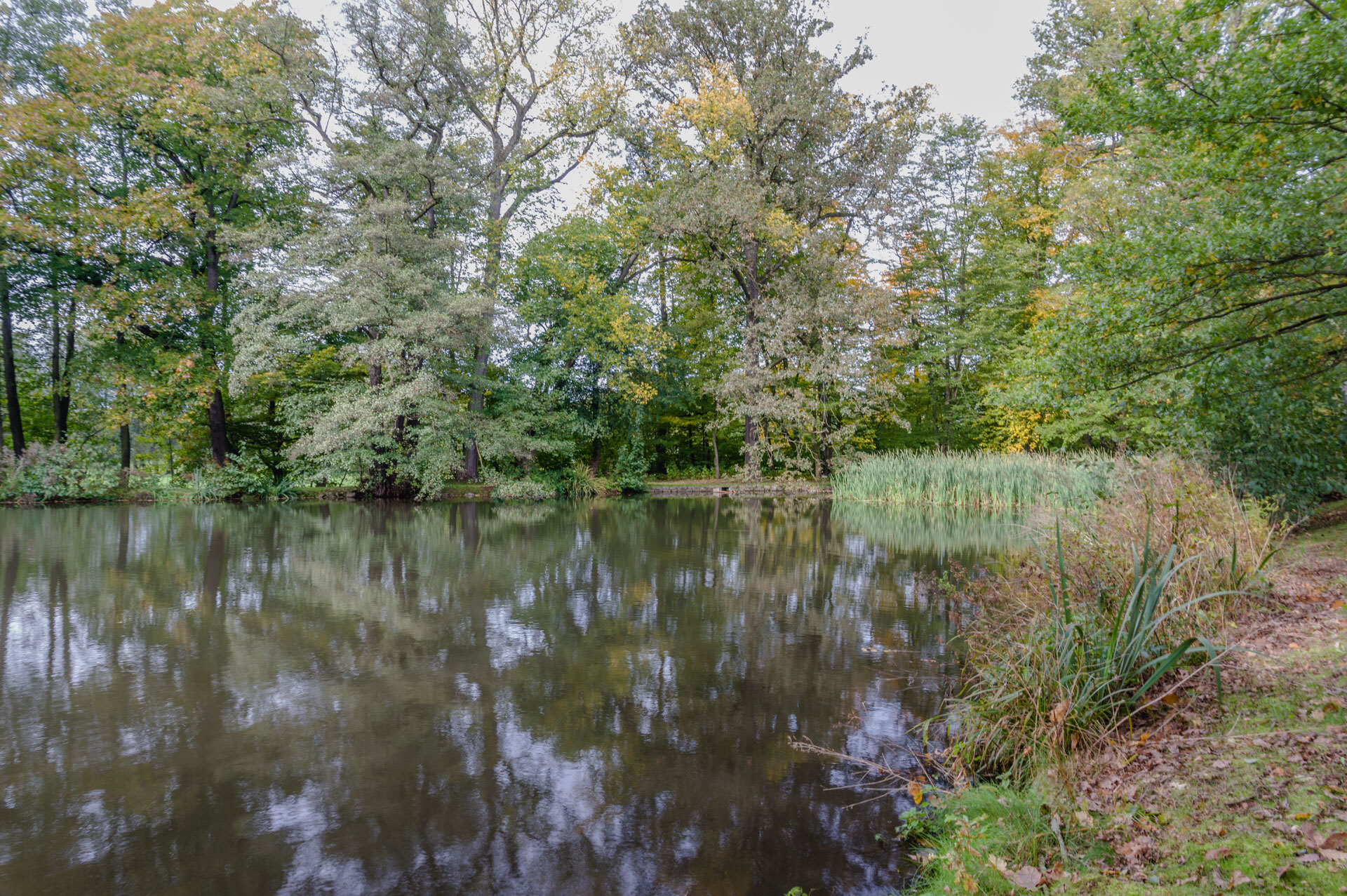 Uwe Lutz Gruenfelder Park Teichblick  (Bild vergr&ouml;&szlig;ern)