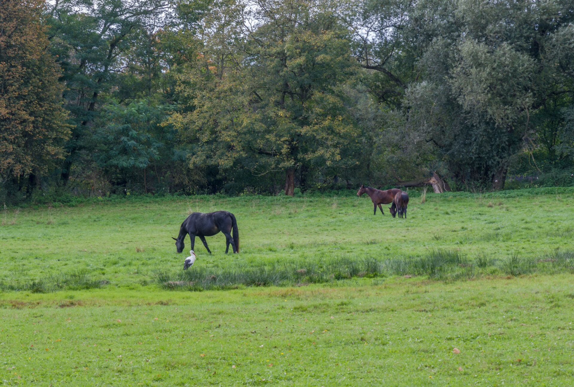 Uwe Lutz Gruenfelder Park in Erwartung  (Bild vergr&ouml;&szlig;ern)