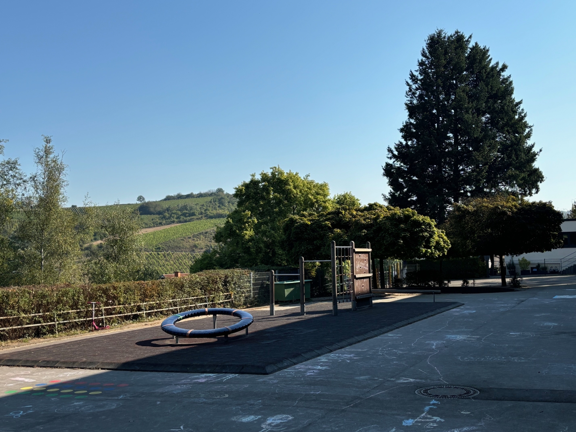 Bild der Galerie