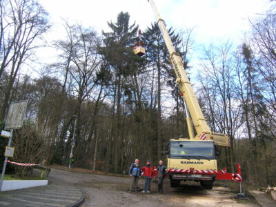 Vorschaubild der Galerie