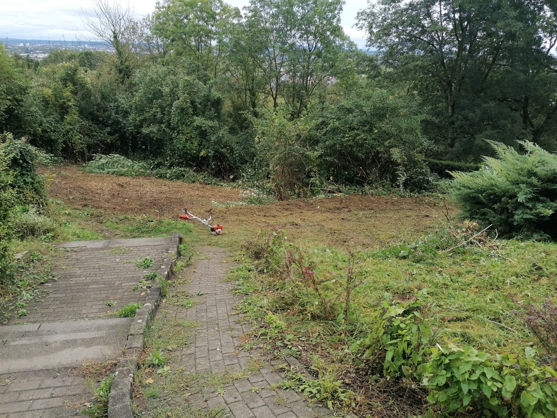 Bild: Platz unterhalb des Böling holzfrei