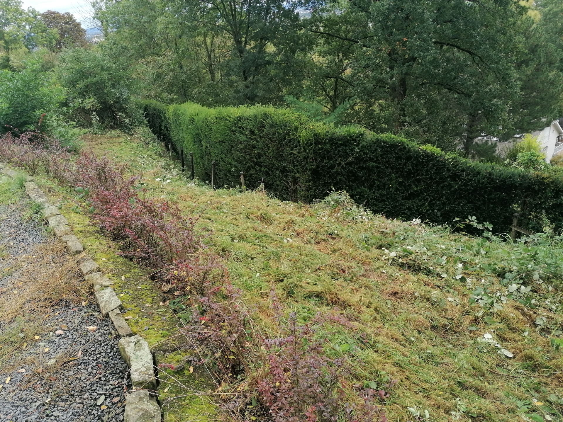 Bild: der Hang am Böling frisch geschnitten