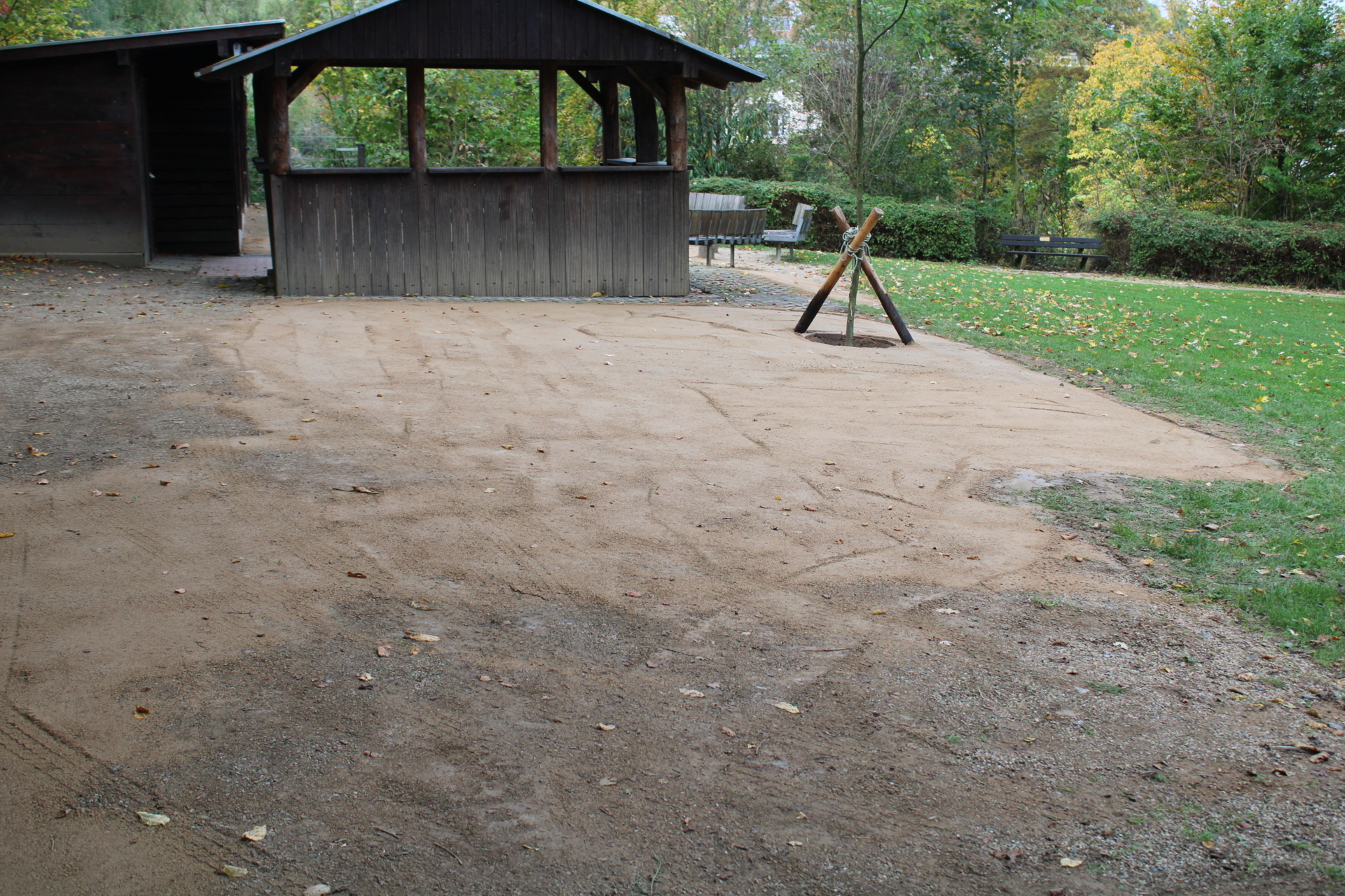Bild: Platz erweitert und neuer Baum gesetzt