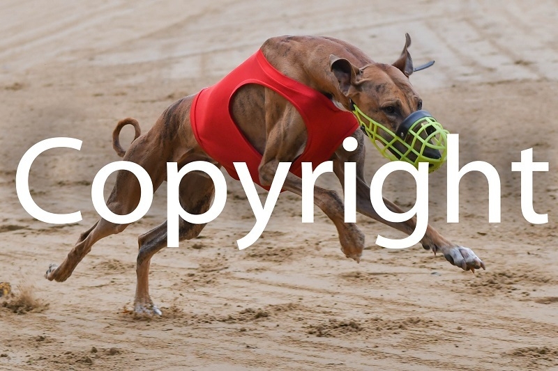 Foto der Galerie: 09.11.2024 Dreikampf Rennen