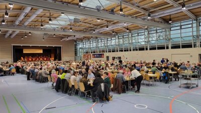 Vorschaubild der Galerie
