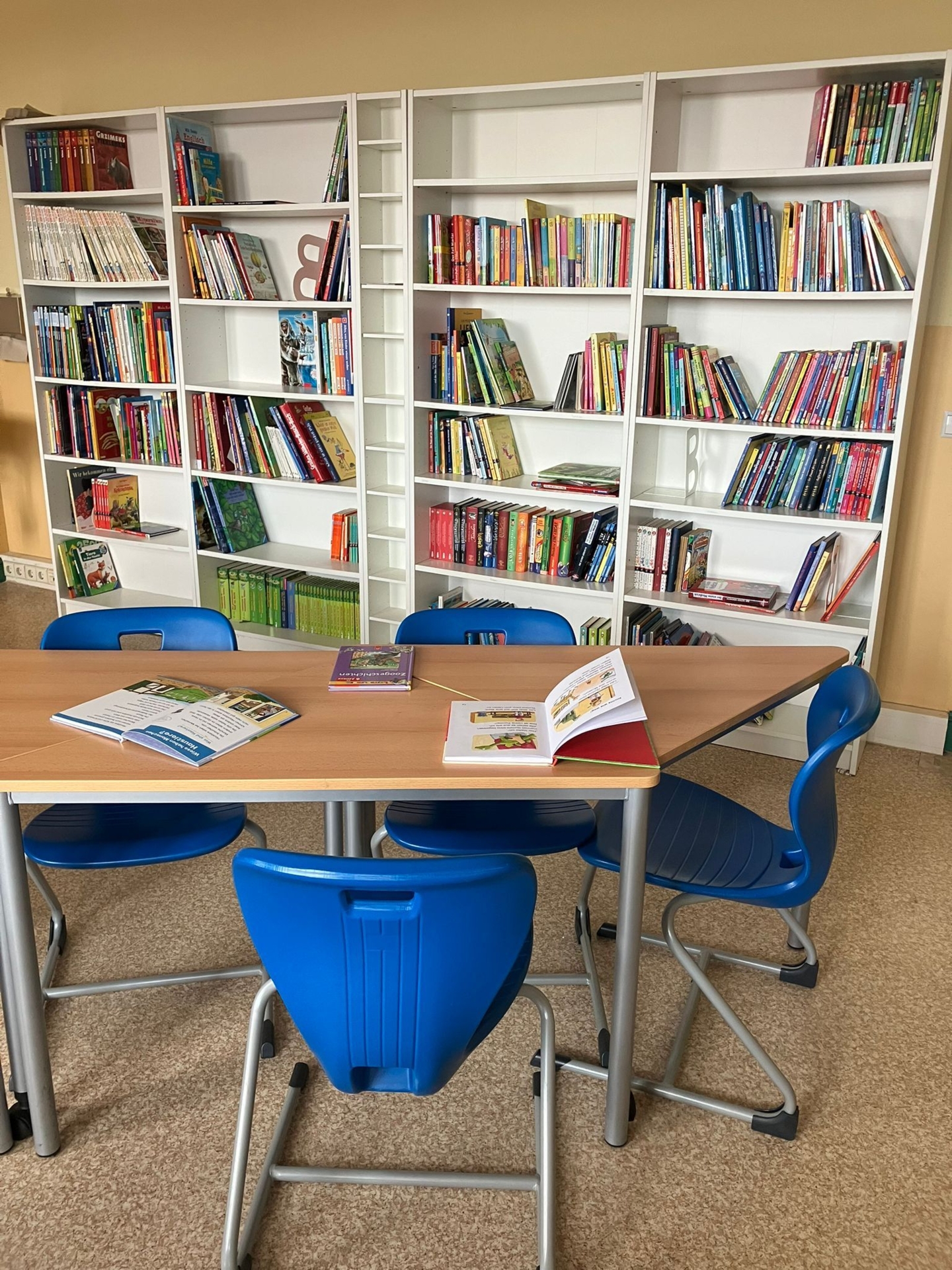 Bibliothek  (Bild vergr&ouml;&szlig;ern)