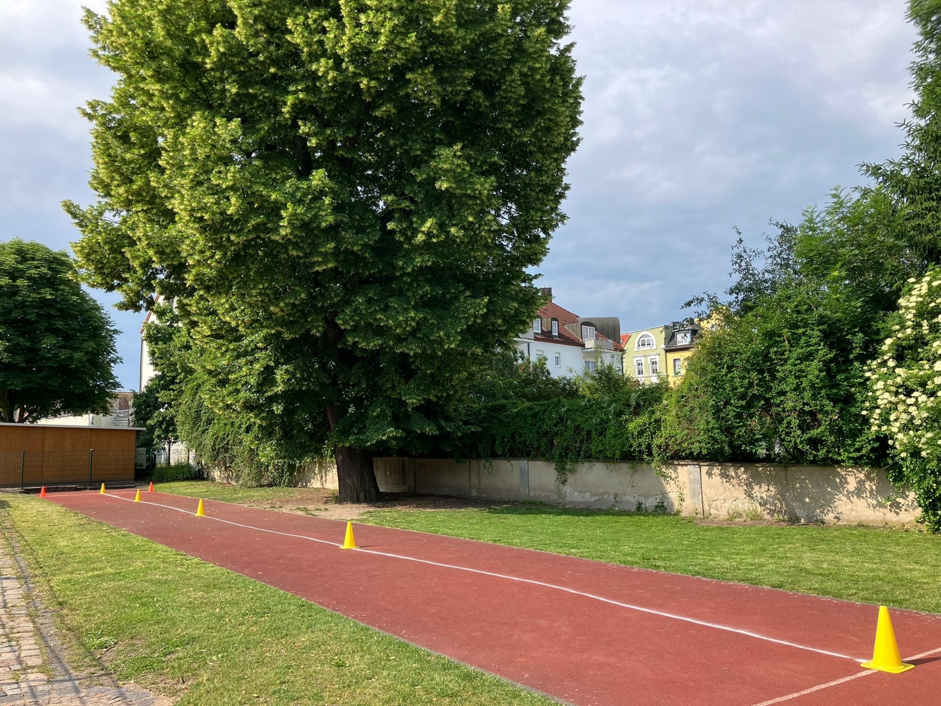 Laufbahn  (Bild vergr&ouml;&szlig;ern)