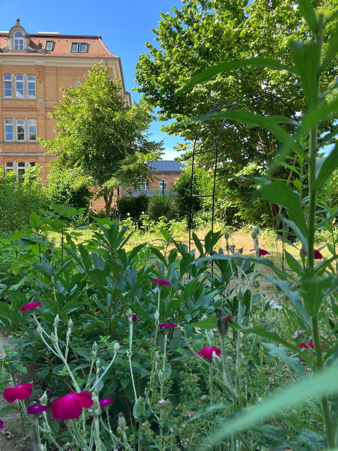 Schulgarten  (Bild vergr&ouml;&szlig;ern)