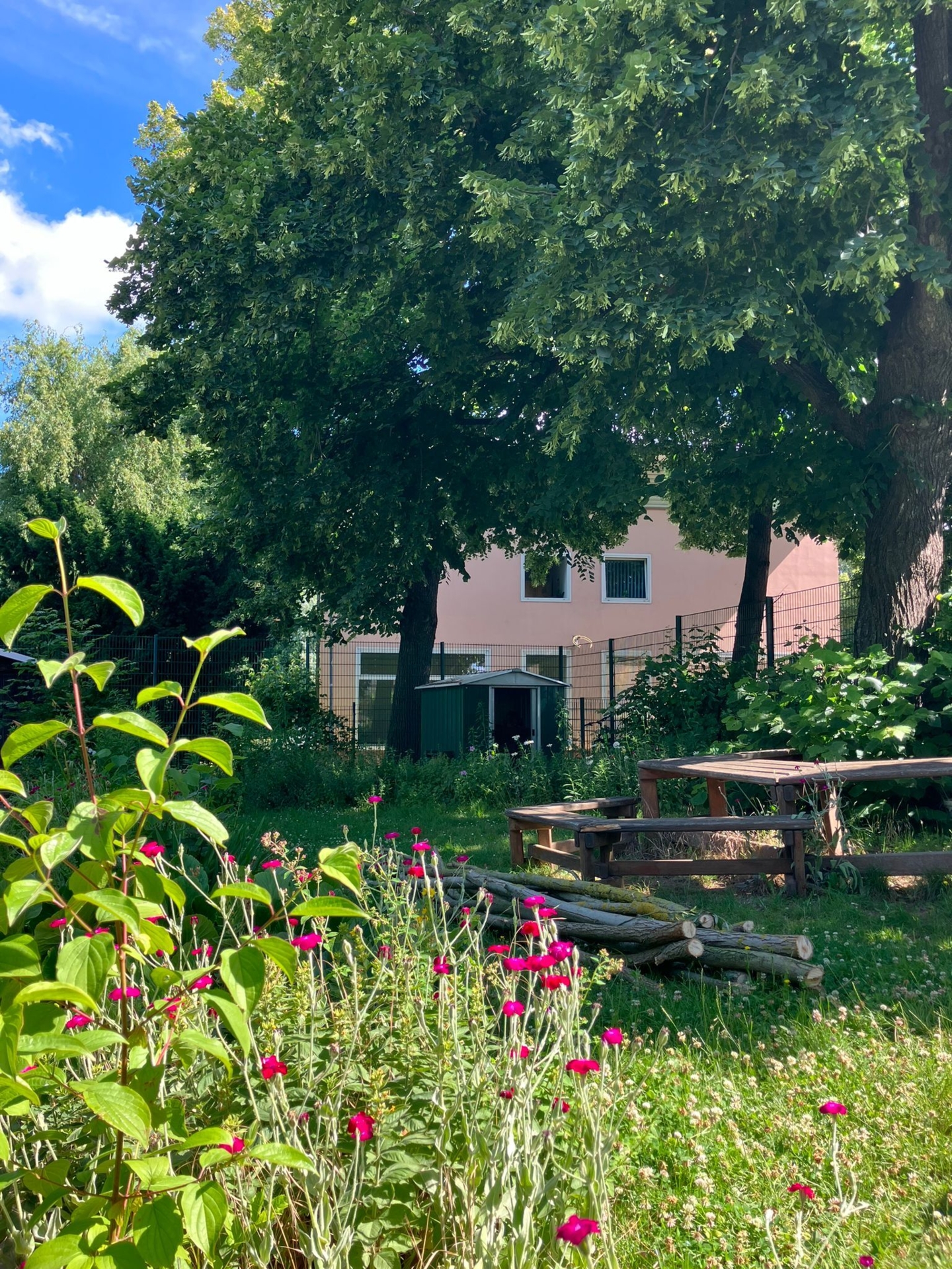 Schulgarten  (Bild vergr&ouml;&szlig;ern)