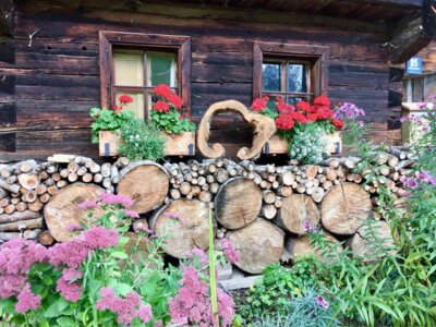 Vorschaubild: © OGV Schönau